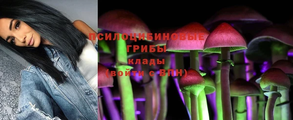 шишки Волосово