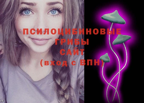 гашик Верхнеуральск