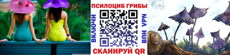 гидра зеркало  Верхоянск  Галлюциногенные грибы MAGIC MUSHROOMS 