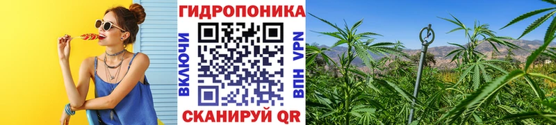 Бошки марихуана VHQ  kraken tor  Верхоянск 